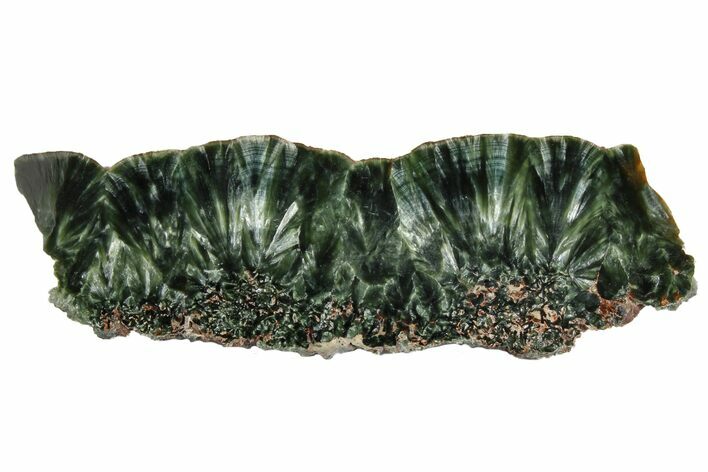 Polished Seraphinite Slab - Siberia #174829